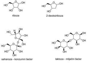 riboza, saharoza, laktoza
